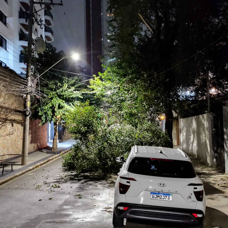Imagem da publicação