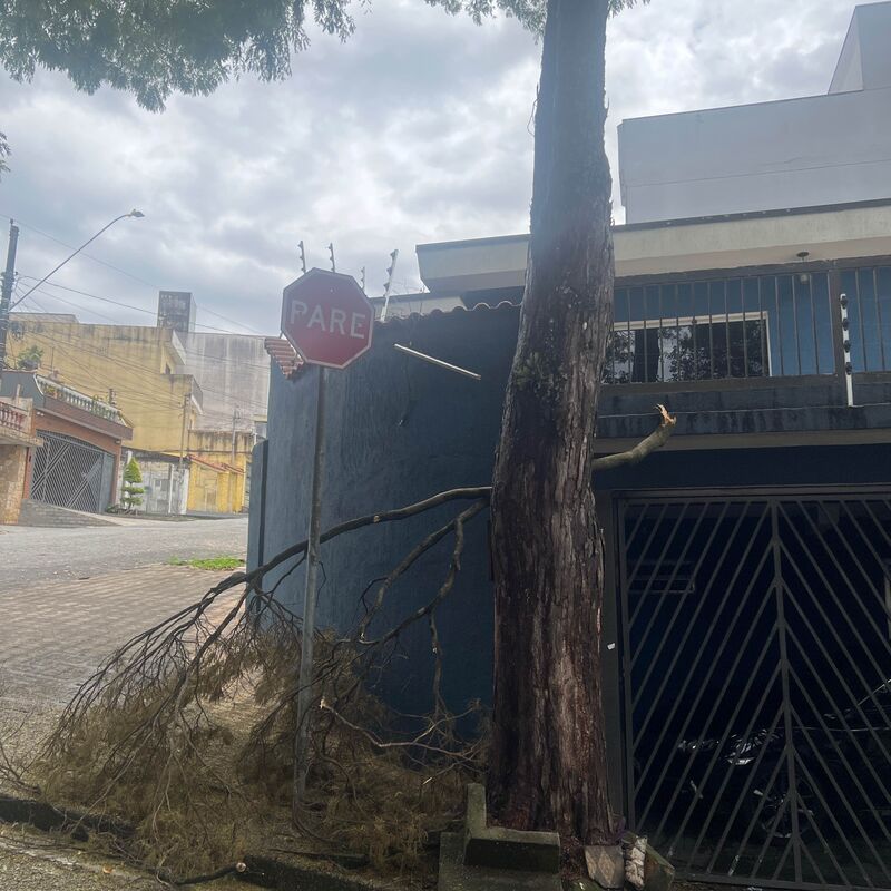 Imagem da publicação