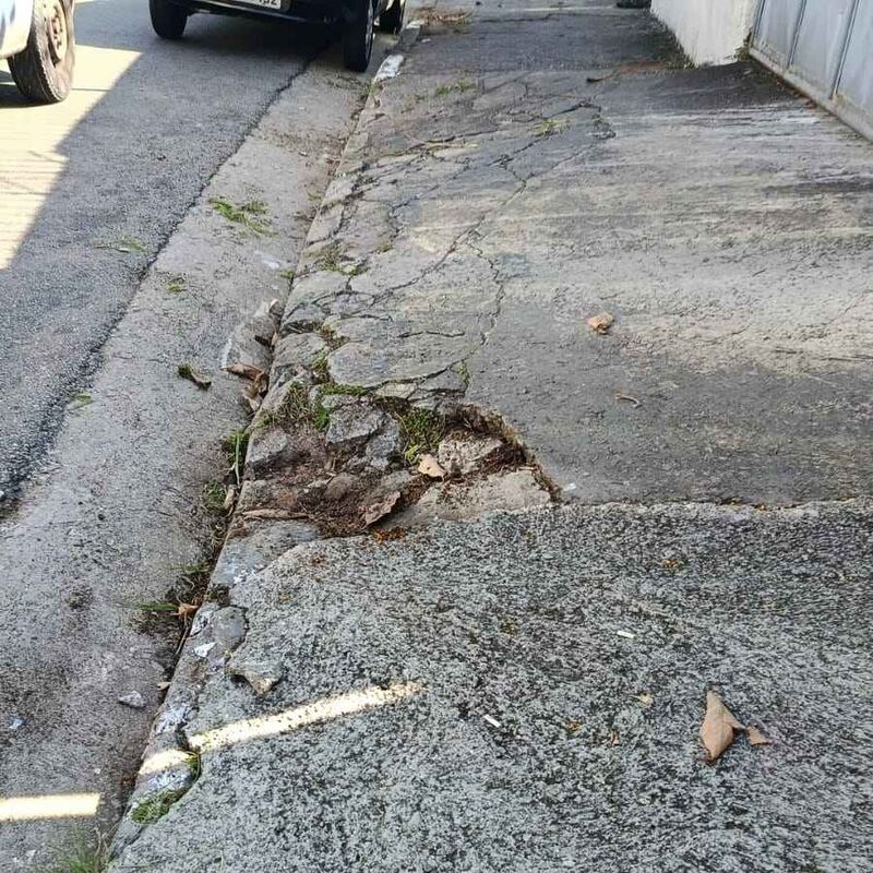 Imagem da publicação