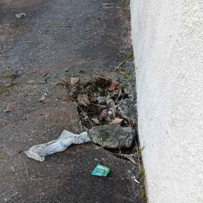 Imagem da publicação