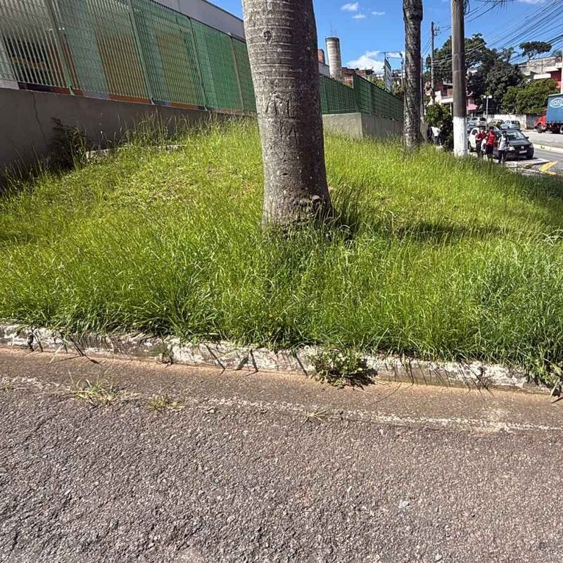 Imagem da publicação