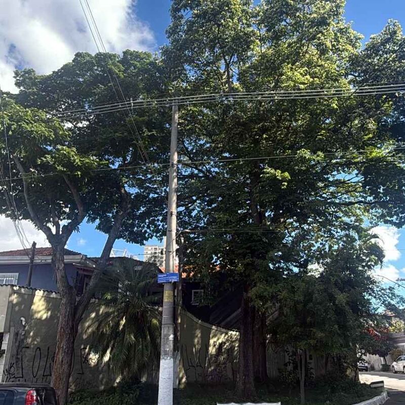 Imagem da publicação