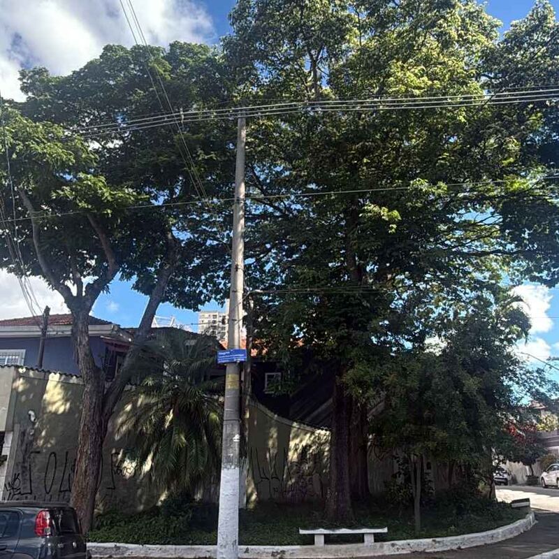 Imagem da publicação