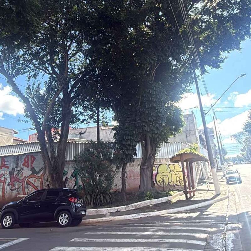 Imagem da publicação