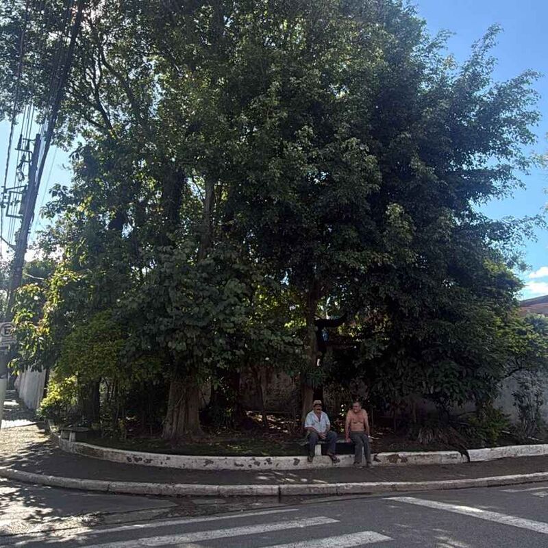 Imagem da publicação