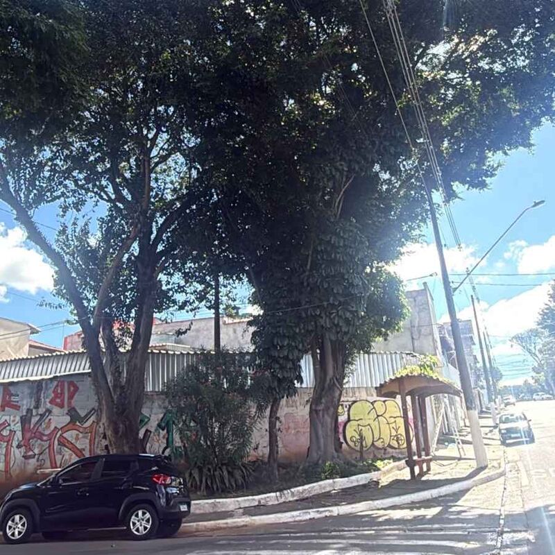 Imagem da publicação