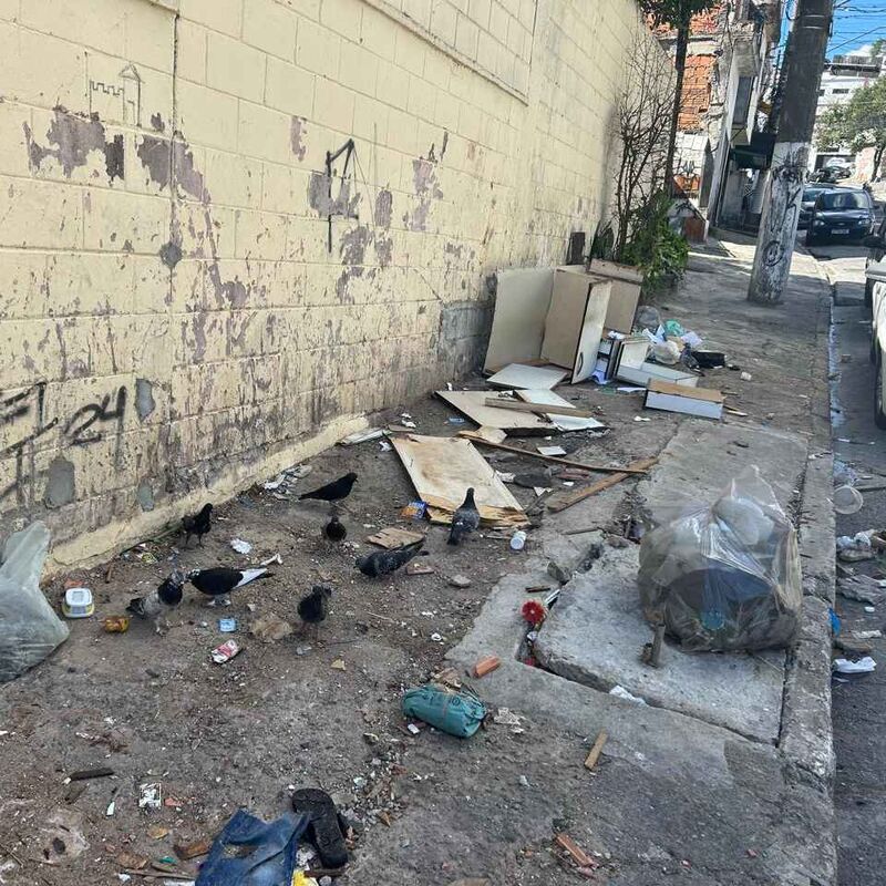 Imagem da publicação