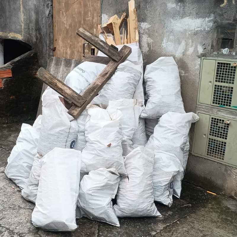 Imagem da publicação