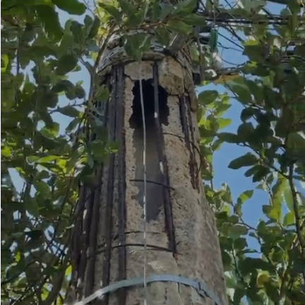 Imagem da publicação