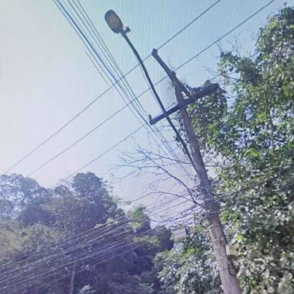 Imagem da publicação