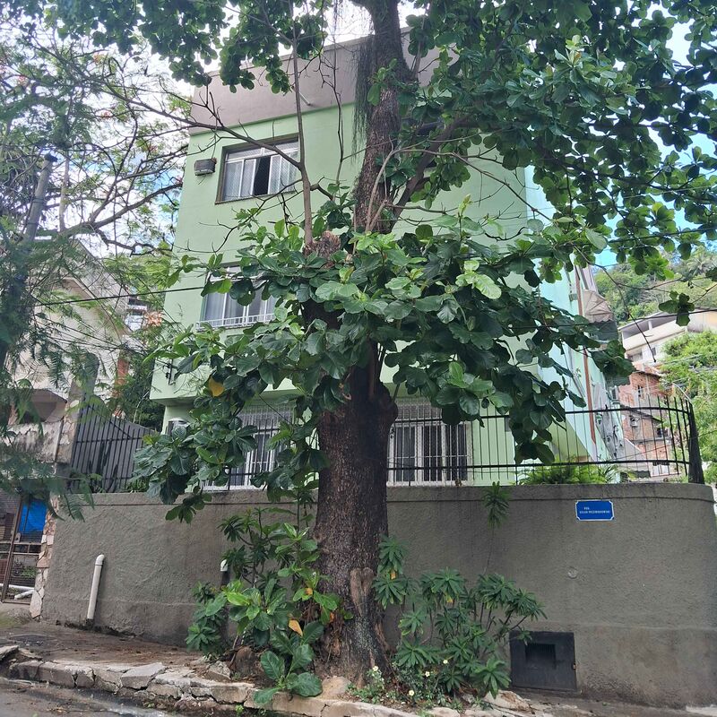 Imagem da publicação