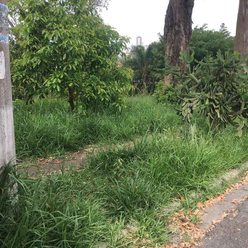 Imagem da publicação