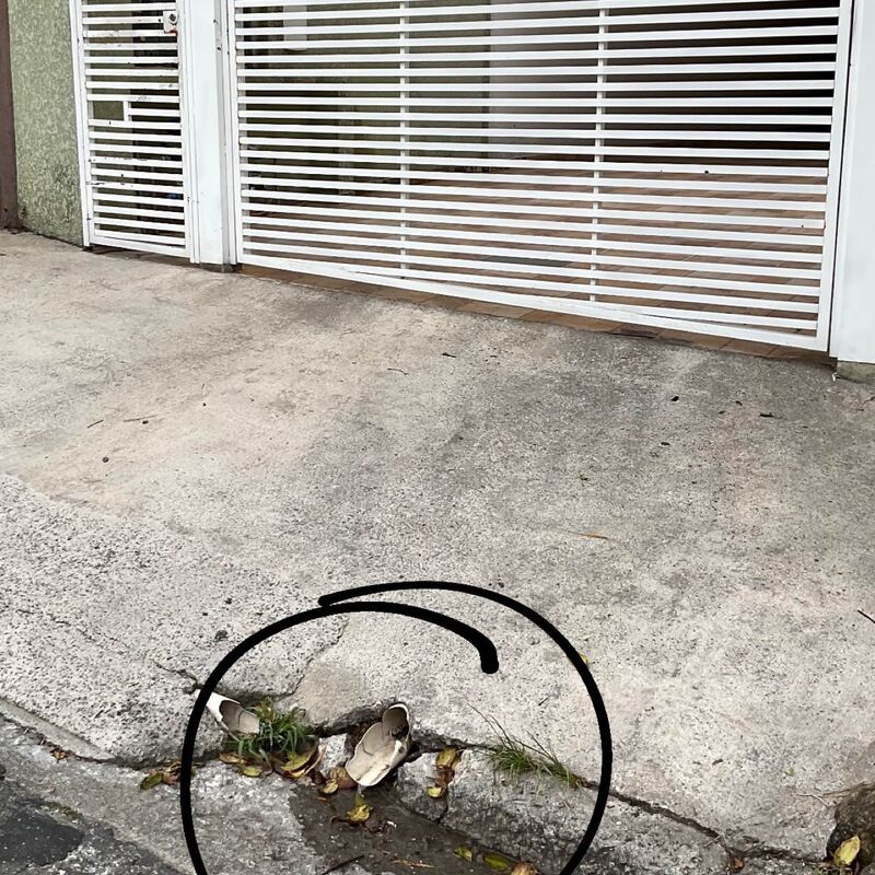 Imagem da publicação