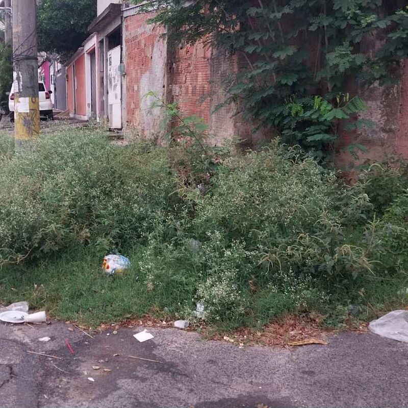 Imagem da publicação