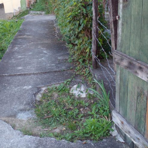 Imagem da publicação