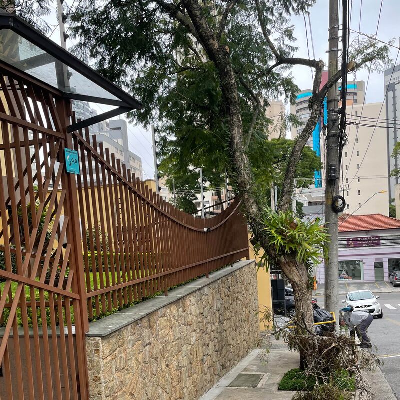 Imagem da publicação