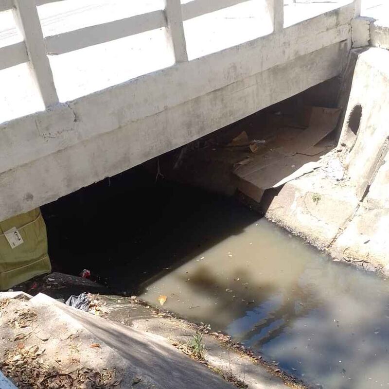 Imagem da publicação