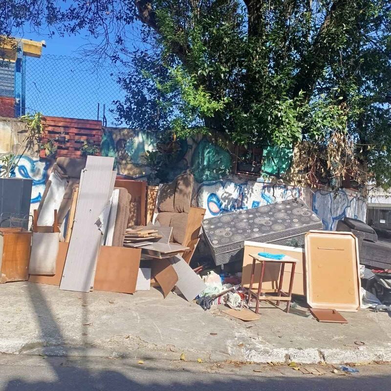 Imagem da publicação