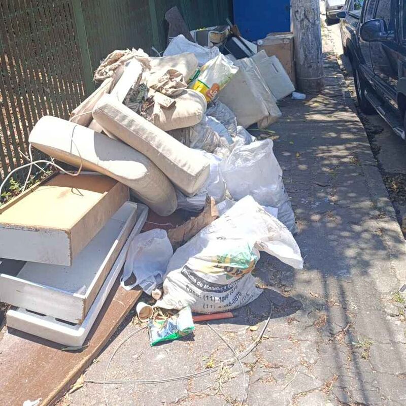 Imagem da publicação