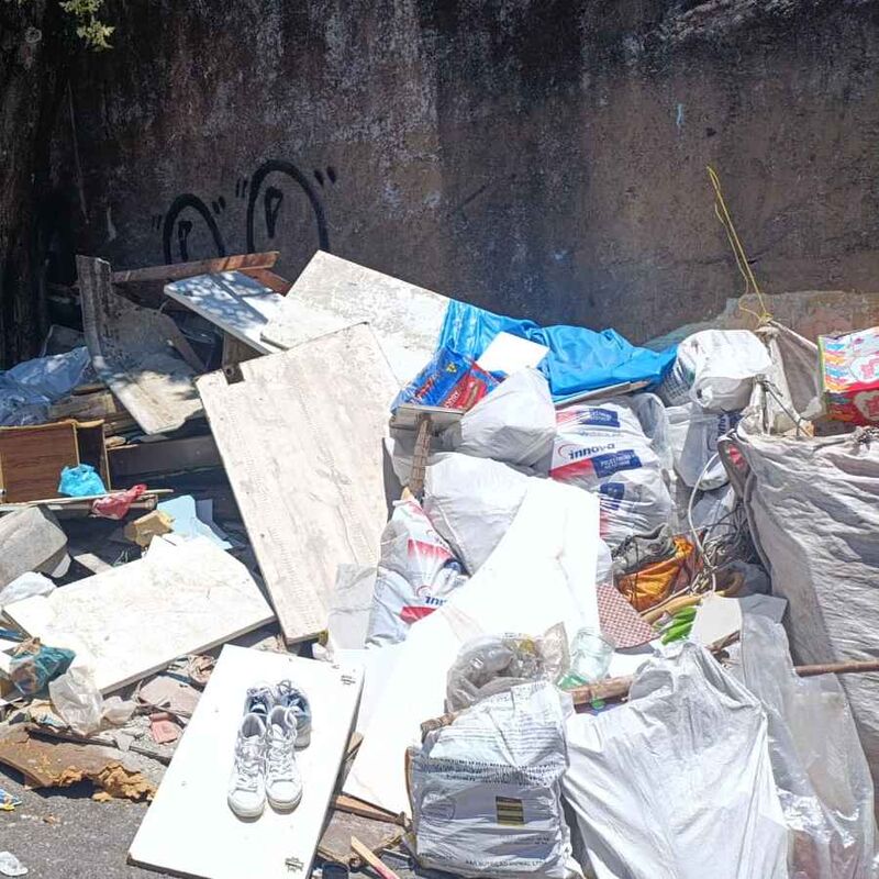 Imagem da publicação