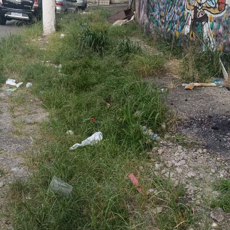 Imagem da publicação