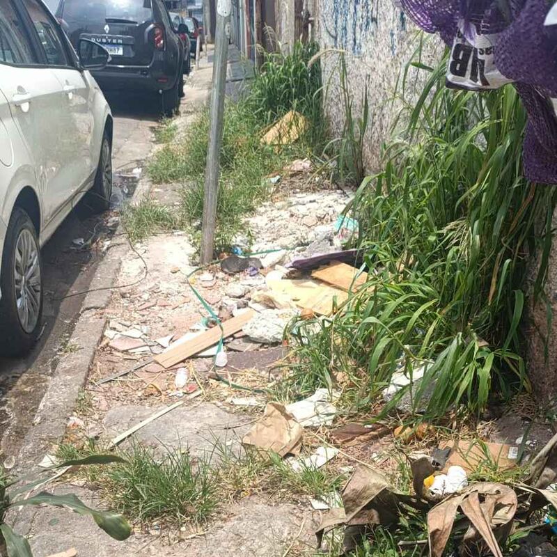 Imagem da publicação