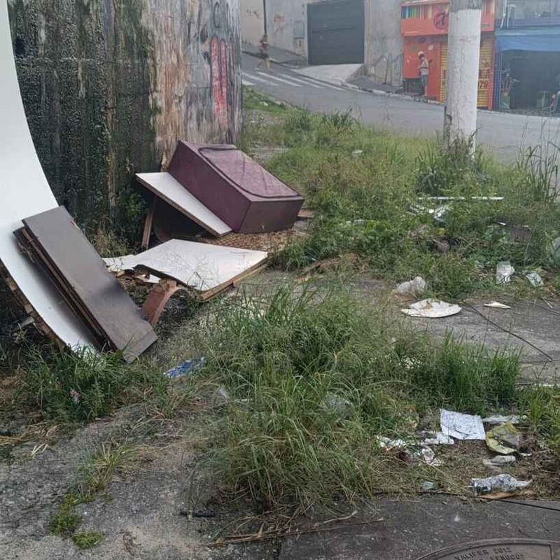 Imagem da publicação