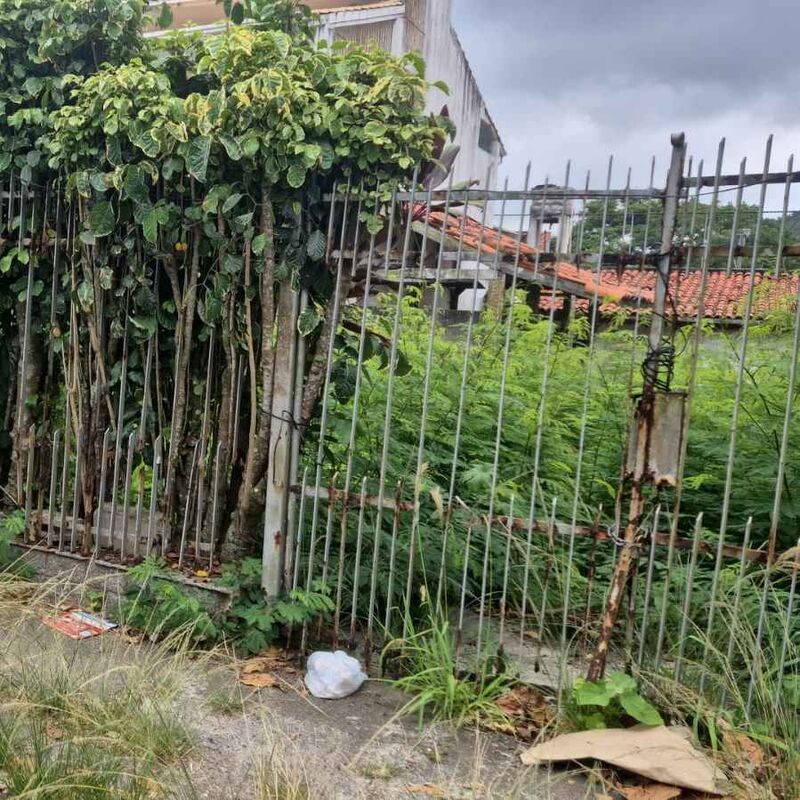 Imagem da publicação