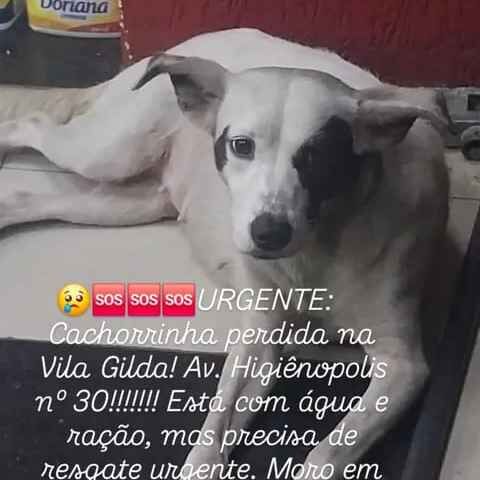 Imagem da publicação