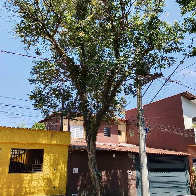 Imagem da publicação