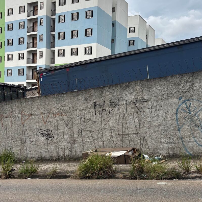 Imagem da publicação