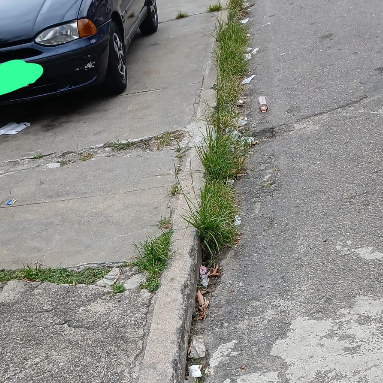 Imagem da publicação