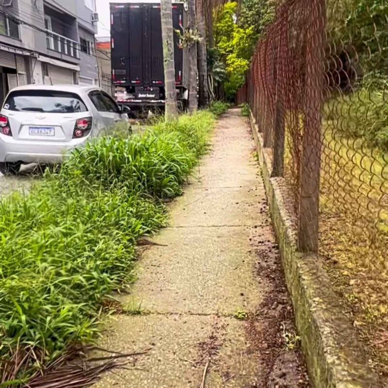 Imagem da publicação