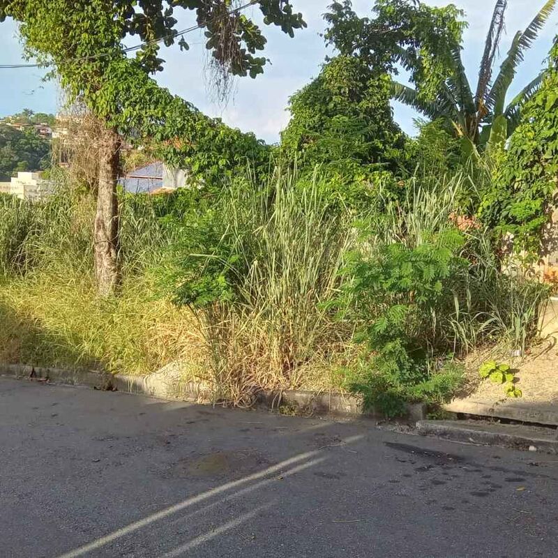 Imagem da publicação