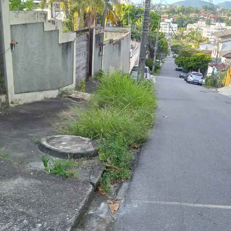 Imagem da publicação