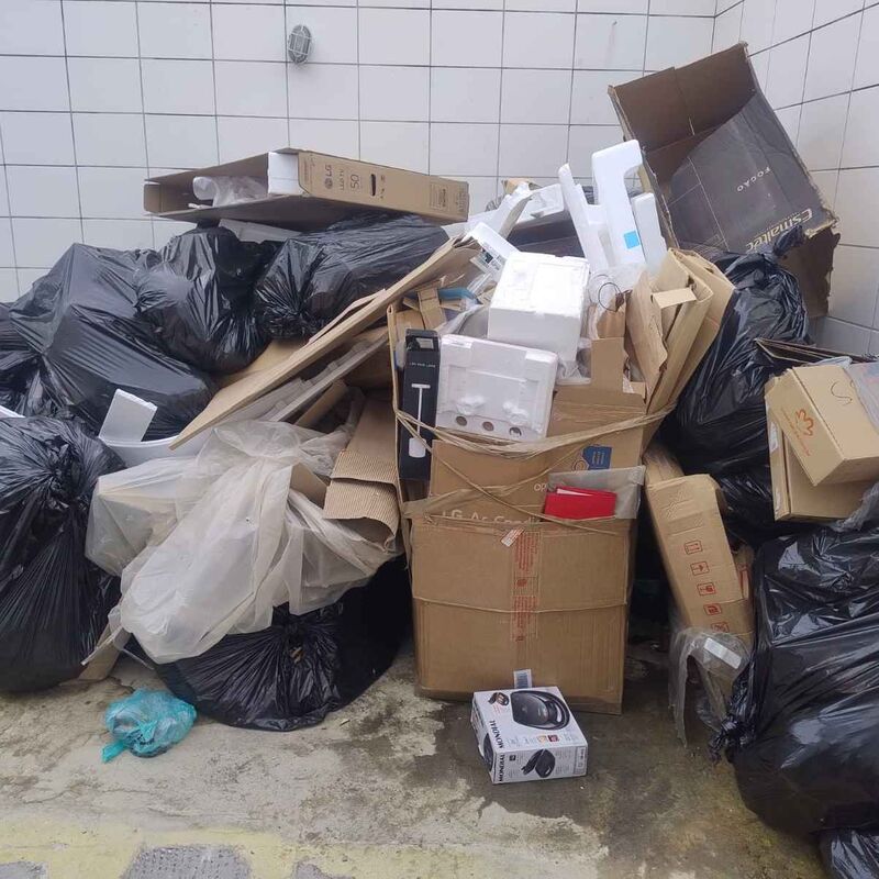 Imagem da publicação