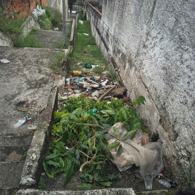 Imagem da publicação