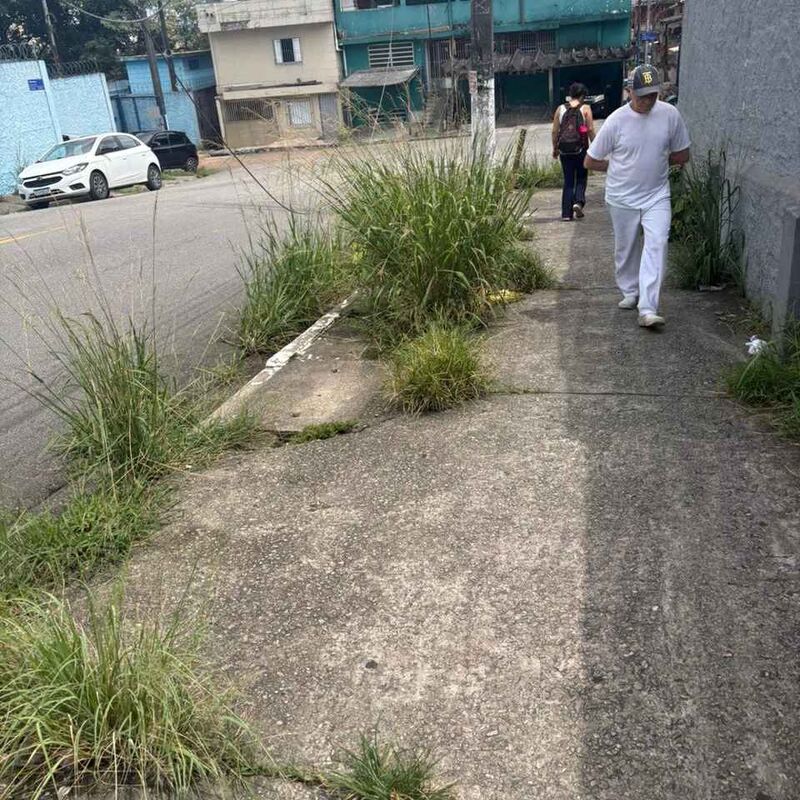 Imagem da publicação