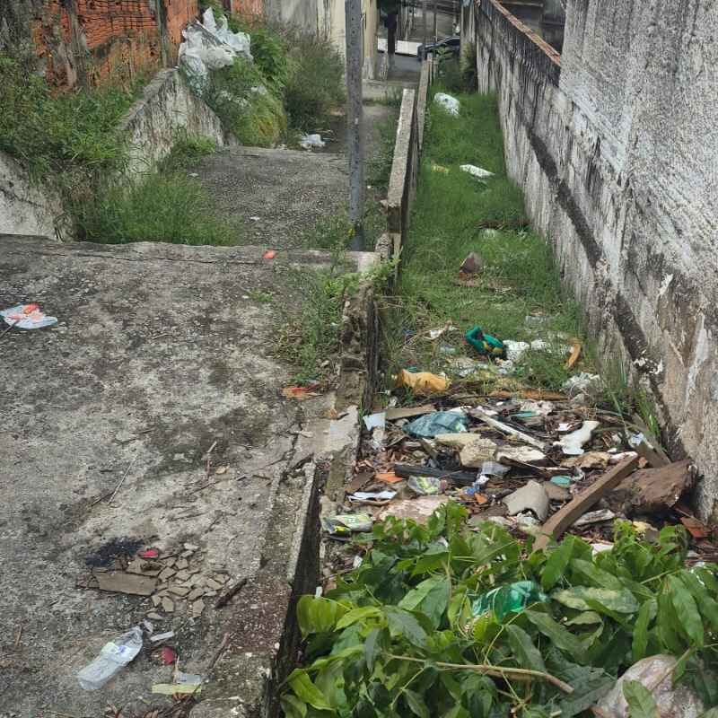 Imagem da publicação