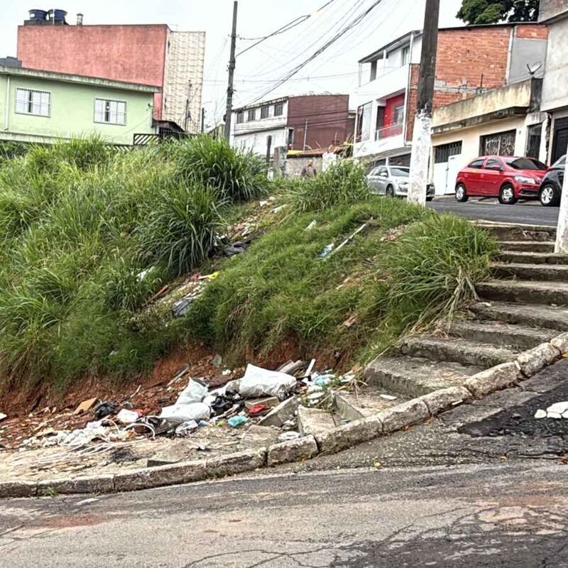 Imagem da publicação