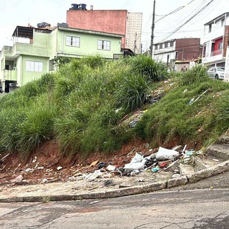 Imagem da publicação