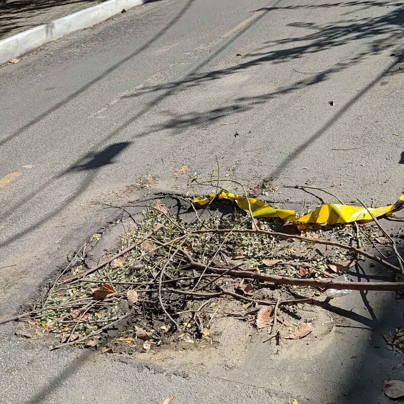 Imagem da publicação