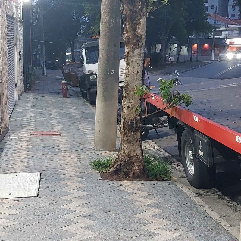 Imagem da publicação