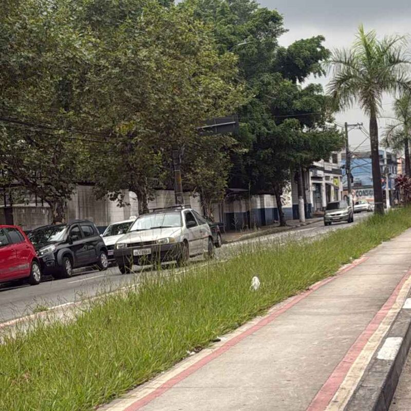 Imagem da publicação