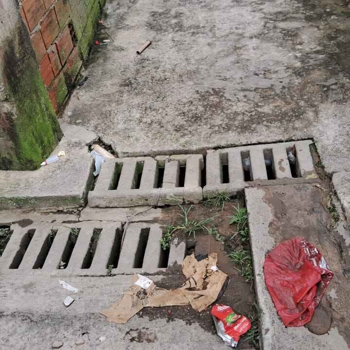 Imagem da publicação