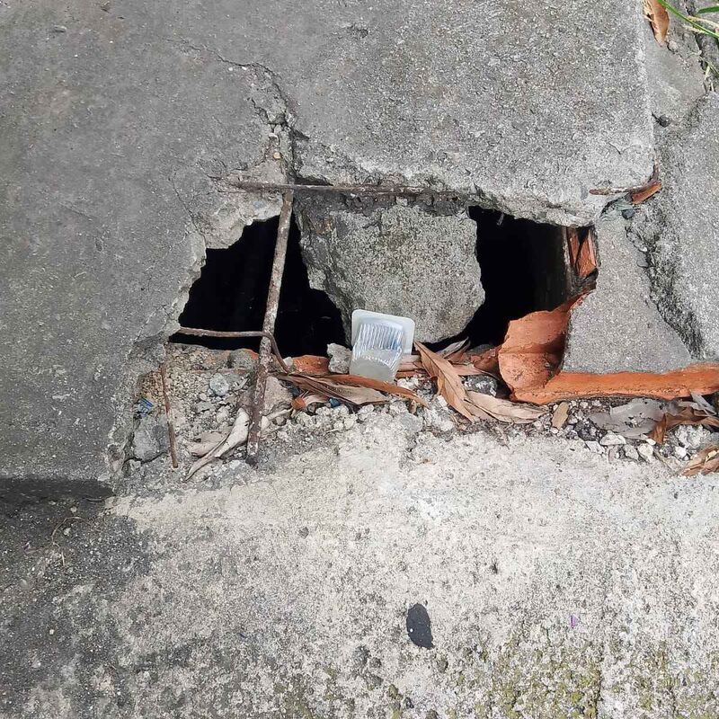 Imagem da publicação