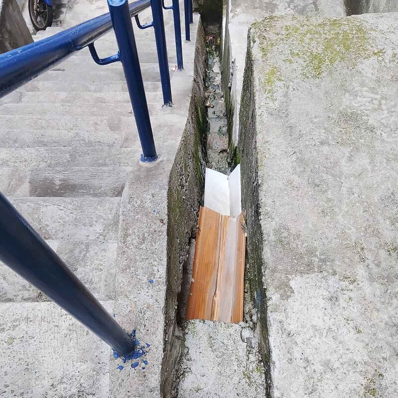 Imagem da publicação