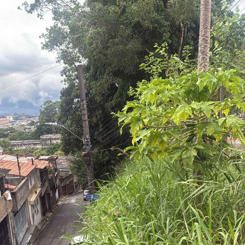 Imagem da publicação