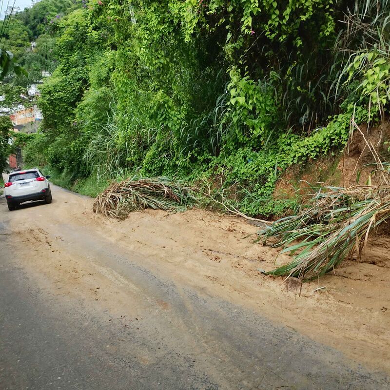 Imagem da publicação