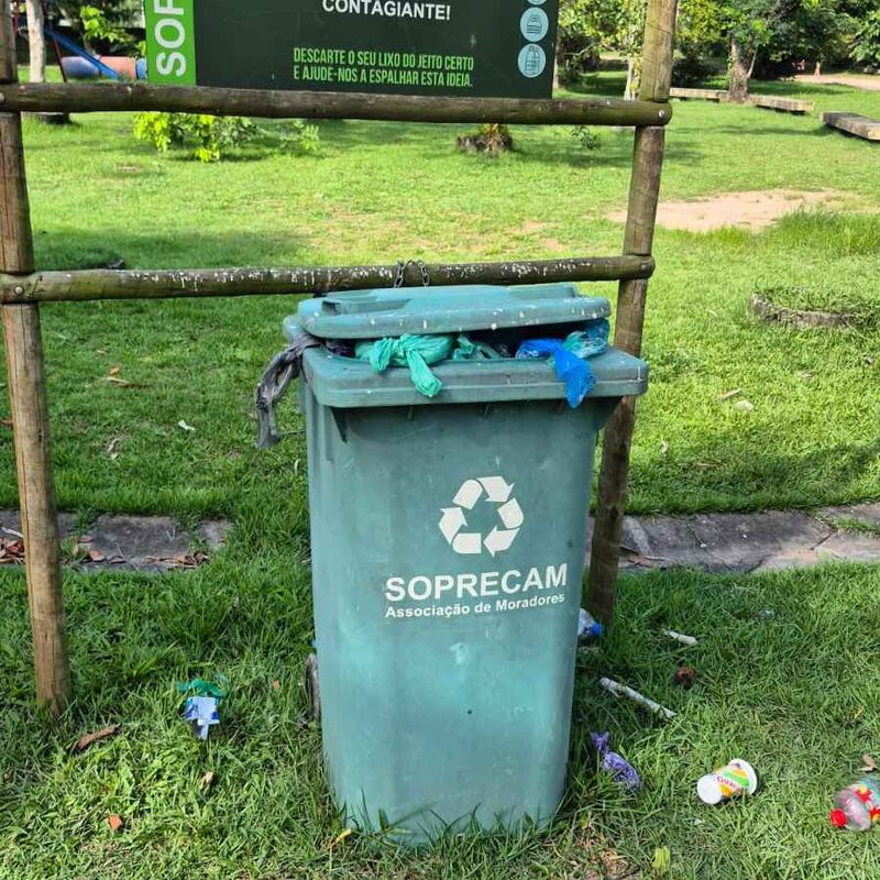 Imagem da publicação